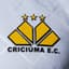 Criciúma Esporte Clube