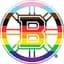 Boston Bruins