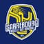 Sarrebourg Moselle Sud Handball