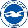 Brighton and Hove Albion Football Club