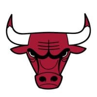 Chicago Bulls
