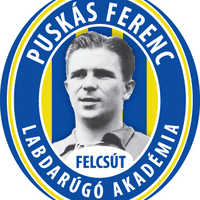 Puskás Akadémia FC