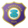 Erzgebirge Aue