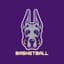 Albany Great Danes Men's Basketball
