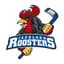 Iserlohn Roosters