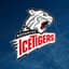 Nurnberg Ice Tigers