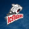 Nurnberg Ice Tigers