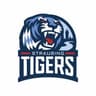 Straubing Tigers