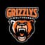 Grizzlys Wolfsburg