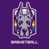 Albany Great Danes Women's Basketball