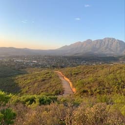 Stellenbosch