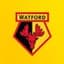 Watford F.C Women