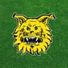 Ilves Tampere