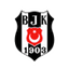 Besiktas Istanbul