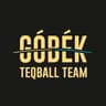 GOBEK Teqball Team