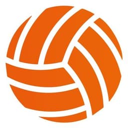 Netherlands Men's Volleyball Team