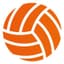 Netherlands Men's Volleyball Team