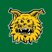 Ilves-Hockey