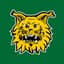 Ilves-Hockey