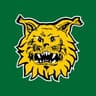 Ilves-Hockey