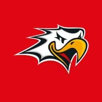 Hockey-Team Vaasan Sport