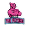 Jaipur Pink Panthers