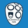 Slovenia Football Team