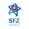 Slovakia Football Team