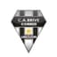 Brive Correze Limousin Athletic Club