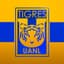 Tigres UANL