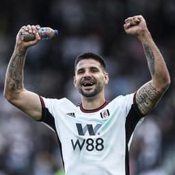 Aleksandar Mitrović